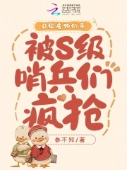 D级废物向导被S级哨兵们疯抢