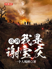 亮剑我是谢宝庆